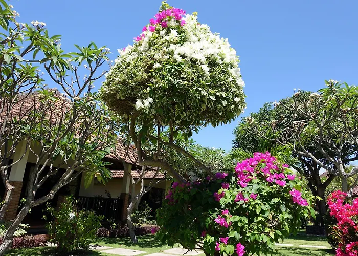 Guest house Liberty Dive Tulamben (Bali)